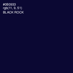 #0B0933 - Black Rock Color Image